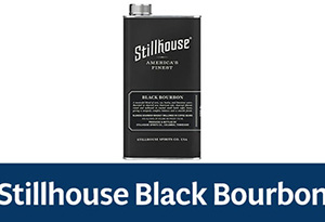 哪种威士忌好喝(十种既便宜又好喝的进口威士忌)