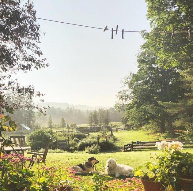 低度葡萄酒未开封有保质期吗 没开封的红酒保质期是多久